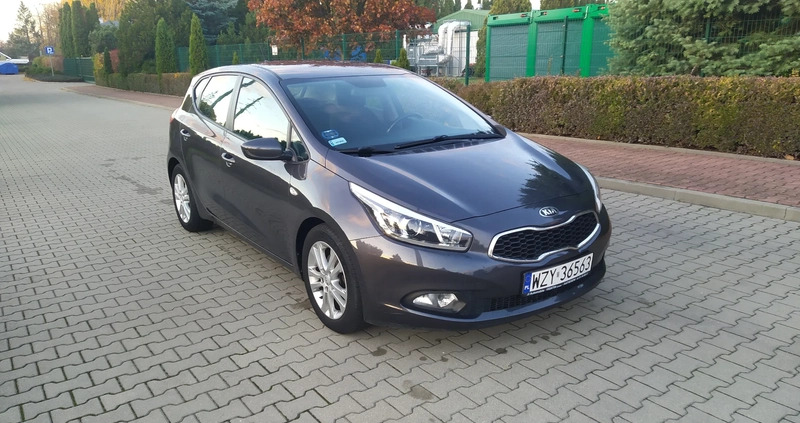 Kia Ceed cena 33700 przebieg: 178500, rok produkcji 2012 z Żyrardów małe 301